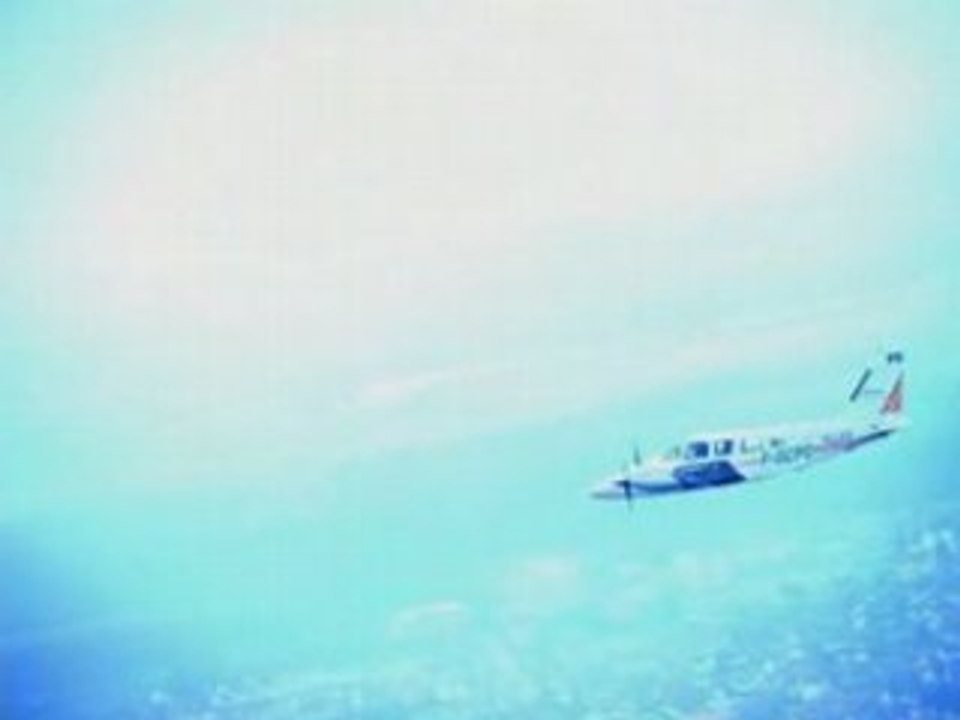 THERMOGRAPHIE AERIENNE A HAGUENAU 2008