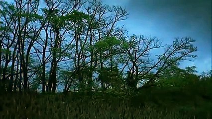 A Ghost Story for Christmas; 'A Warning to the Curious', with Sir Christopher Lee (360p_24fps_H264-128kbit_AAC)