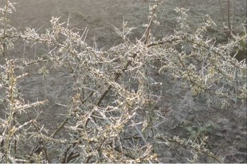 Rajasthan Weather : जयपुर में आज धूप ​खिली, गलन से धूज रहे लोग, दौसा में तेज ठंड