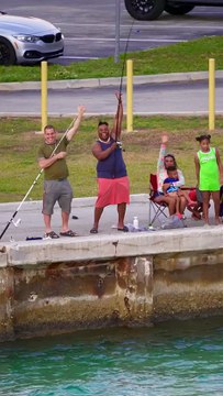 As I was whistling to the boats this family whistled to me. 😃 apparently they just wanted to be on camera