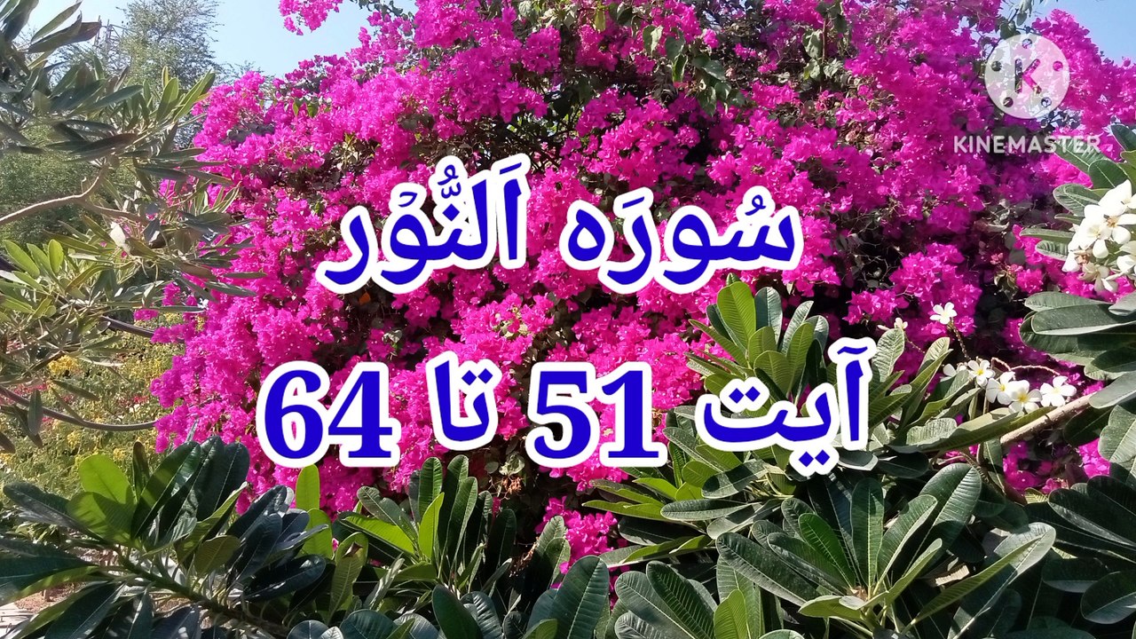 Surah An Noor | Tilawat Surah an nur | best qirat recitation | quran pak ki tilawat | bubak learn quran |