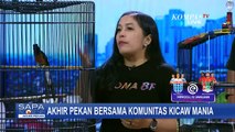 Pecinta Burung Merapat, Mari Mengenal Lebih Dekat Komunitas Kicaw Burung!