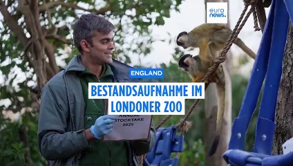 Die Bewohner des Londoner Zoos werden bei der jährlichen Bestandsaufnahme gezählt