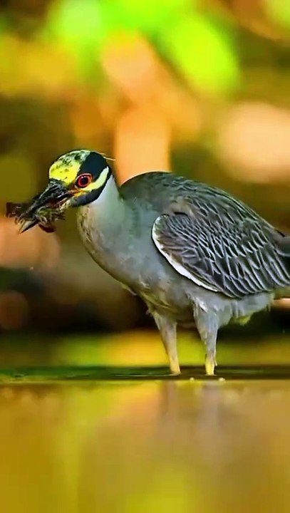 🕋 🌹﷽🌹🕋    *صبح کا آغاز خوبصورت کلام پاک سے*❤️💫⚔️💫⚔️ *میں حضرت محمد ﷺ کا غلام ہوں سندھو متے آلہ* *الحمدللہ* _*✨اِیَّاکَ نَعۡبُدُ وَ اِیَّاکَ نَسۡتَعِیۡن*_❤️ 60