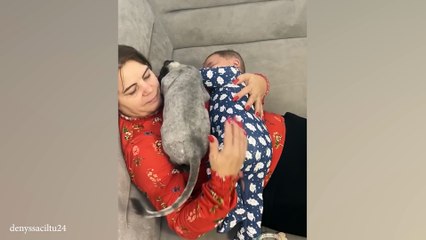 When your cat becomes your shadow 😂 Funny Cat and Human