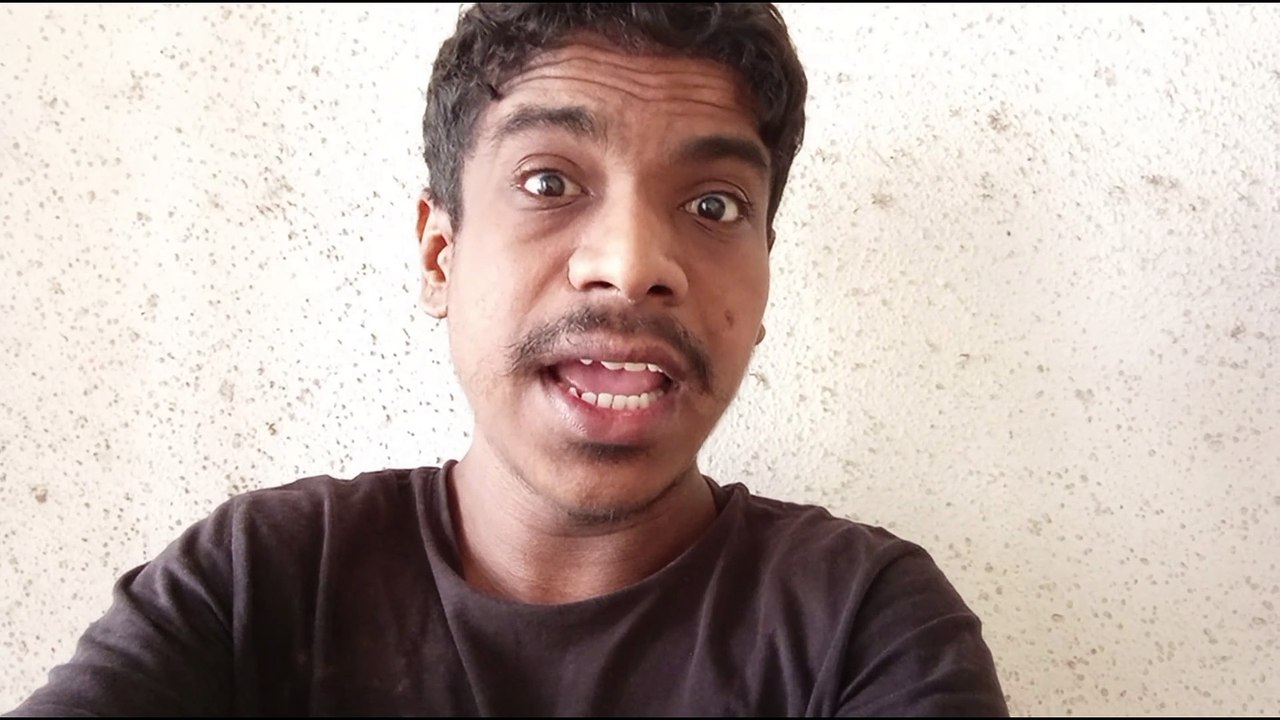 Wallace & Gromit: Vengeance Most Fowl: Movie Review In Hindi