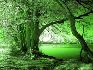 موسيقى خيالية ساحرة