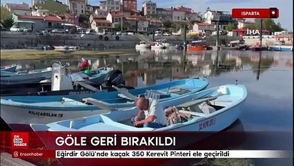 Eğirdir Gölü’nde kaçak 350 Kerevit Pinteri ele geçirildi