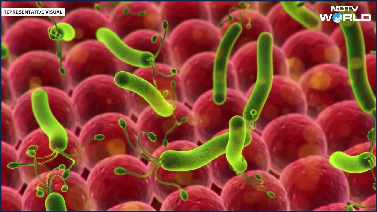 "China New Virus HMPV Outbreak in 2025 | Symptoms, Spread, and What You Need to Know"