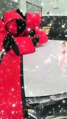 MITSUBISHI TRITON ATHLETE