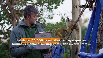 Kebun Binatang London Sensus Hewan Langka dan Dilindungi