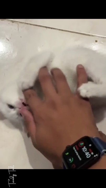 I was attacked by a vicious beast almost didn't make it out alive