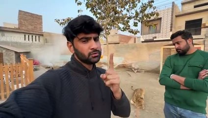 shehaar men dehat ep 122 animal mini zoo 2025 Hmara Jugoo Chori Hogea