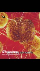 HMPV virus surge in Chania Hospitals Overwhelmed Amid Respiratory Outbreak | SYA Channel