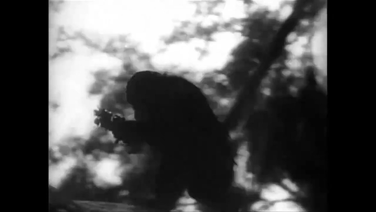 Tarzan - Der Furchtlose