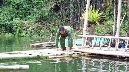 EP.400 - Construindo uma estrutura de casa de bambu no rio, pescando