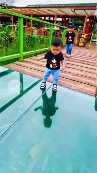 Funny vedeos .bucha DER gaya