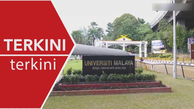 [TERKINI] Lagi kucing mati di Universiti Malaya