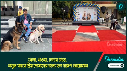 খেলা, খাওয়া, দেদার মজা, নতুন বছরে প্রিয় পোষ্যদের জন্য হল দারুণ আয়োজন