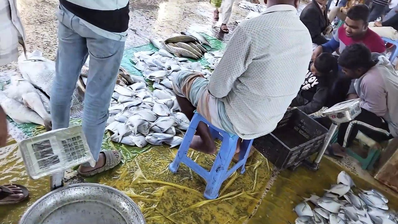 Large Indian Fish Being Sold in a Rural Market