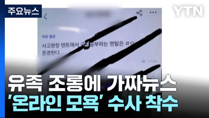 유족 조롱에 가짜뉴스까지...제주항공 참사 '온라인 모욕' 수사 착수 / YTN