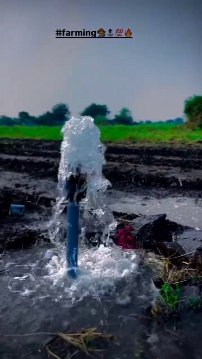 Farming #viral #instagood #trendingreels #instagram #trending #trend #viralvideos #instalike #insta #farming