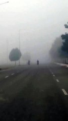 The foggy morning || धुंध भरी सुबह