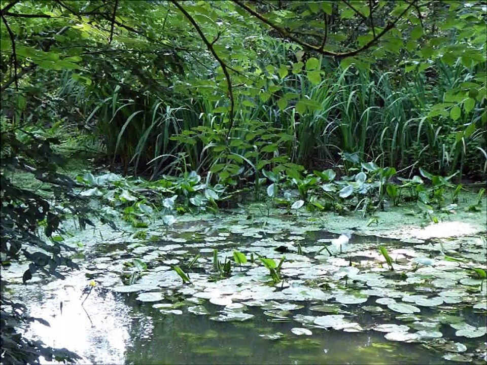 Rivières