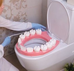 Next-level toilets! Wild upgrade ideas for your crafty inspiration!