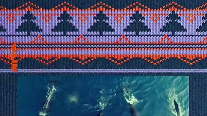 Tardigrade, l’animal indestructible - 4 janvier