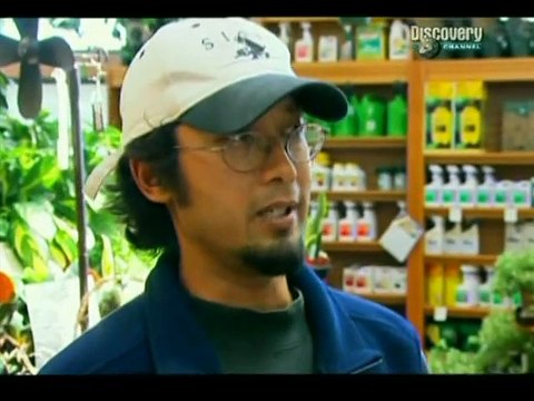 Cazadores de Mitos T2 - C10