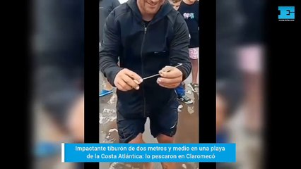 Enorme tiburón en una playa de la Costa Atlántica: lo pescaron en Claromecó