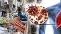 HMPV Virus Outbreaks In China Latest News: जानलेवा है वायरस? | India Health Advisory Cases Updates..