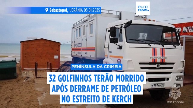 Mais de 30 golfinhos mortos após derrame de petróleo no Estreito de Kerch, revela grupo de salvamento de animais