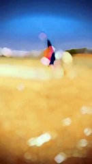 VID-20231028-WA0061