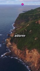 L'énigmatique arc Nastapoka : Mystère géologique au Canada