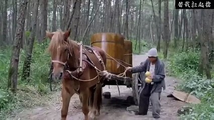 The Old Lady Reveals She Is a Kung Fu Master Who Defeats Japanese Soldiers