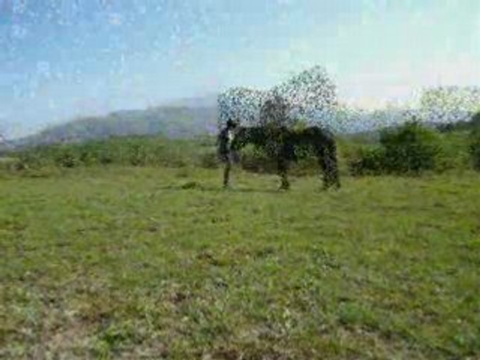 nos débuts en étholgie + 4 mois