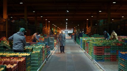 This Is a Camera Which Shoots This | show | 1995 | Official Trailer