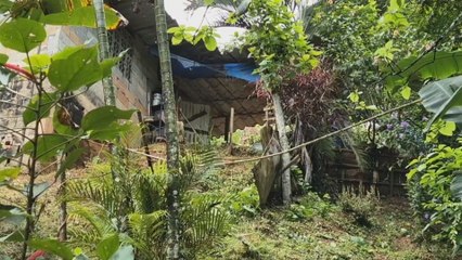 Tragedia en Colón: doble homicidio enluta a una familia en Río Gatún N.º 2