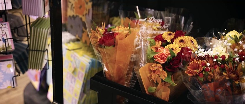 When Love Wilts | movie | 2024 | Official Trailer