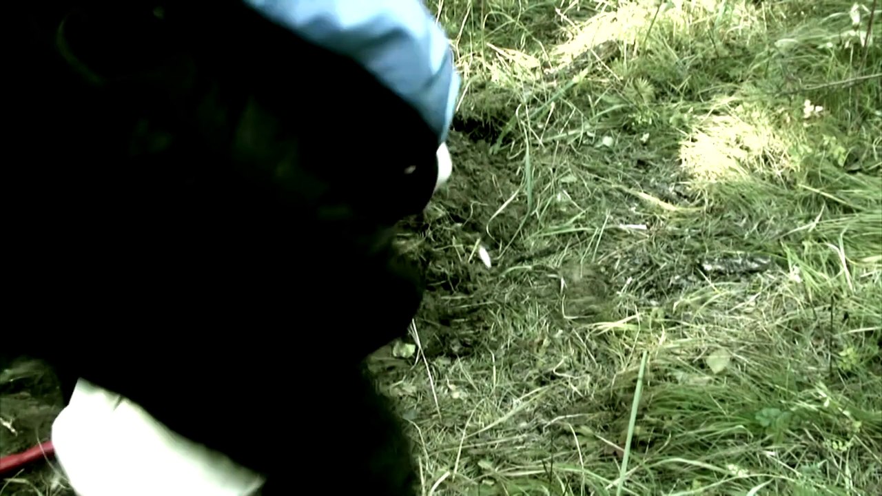 Understudy | movie | 2012 | Official Teaser