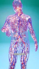 How Bee Sting Therapy Working