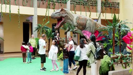 tn7-Museo de los Niños tendrá una nueva atracción durante todo enero-040125