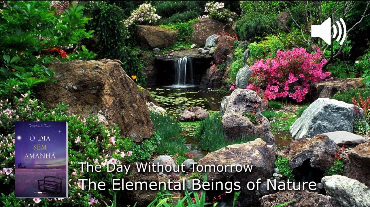 WP114. The Elemental Beings of Nature