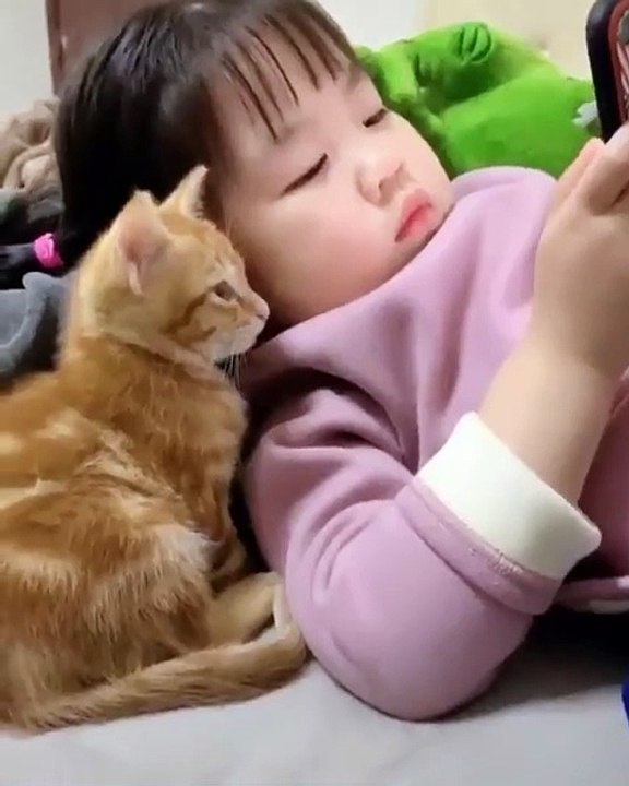 The kitten became interested 😂