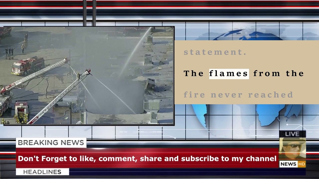 Hundreds of animals killed in Dallas shopping center fire