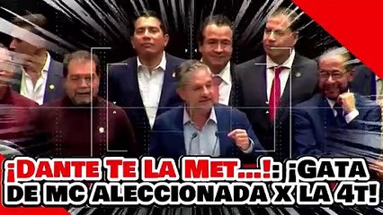 ¡DANTE TE LA MET…! ¡GATA de ‘Pe-DANTE’ DELGADO RECIBE BRUTAL LECCIÓN de LUIS HUMBERTO!
