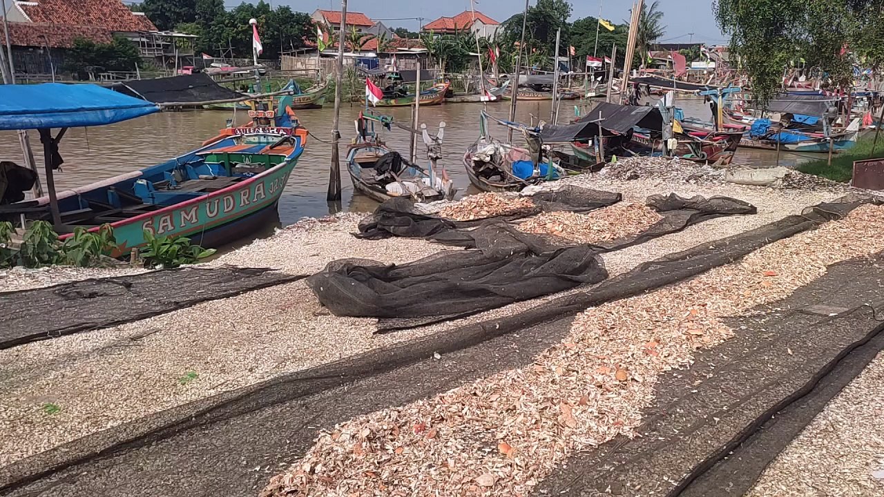 Pakan Ternak dari Limbah Kepiting