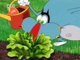 Oggy & The Cockroaches - Full Episode - 🦅 Un Petit Nid douillet  ( Nickelodeon Dubbed ) | ChillAndZeal | Credit :- nostalgic Oggy